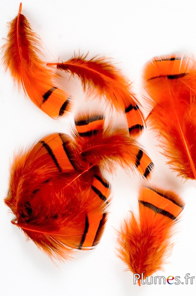 Perdrix - 3-7 cm - orange